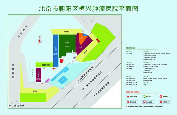 斗破苍穹插逼视频网站北京市朝阳区桓兴肿瘤医院平面图